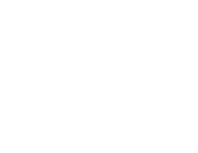 ECOMSCALE
